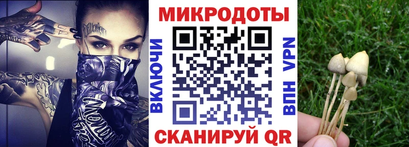 Купить  Благодарный  Псилоцибиновые грибы ЛСД 